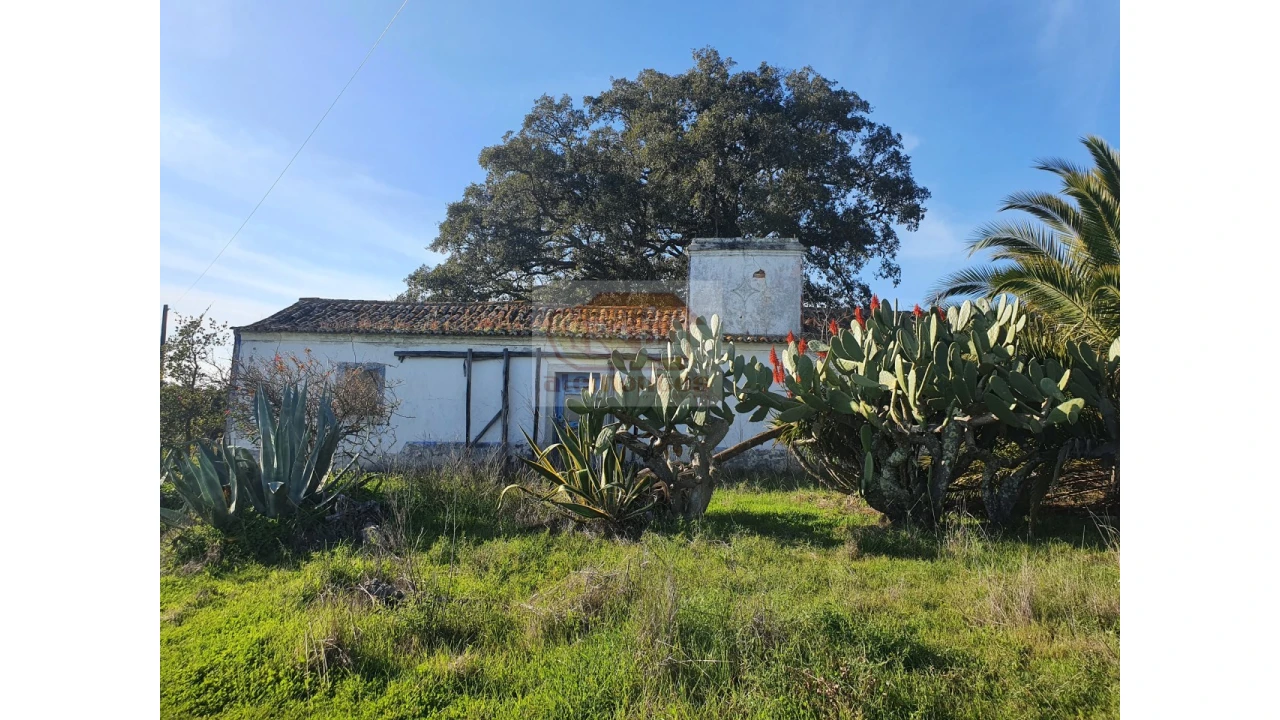 Terreno Misto para Venda em Grândola e Santa Margarida da Serra Foto 1