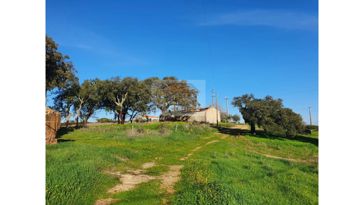 Terreno Misto para Venda em Grândola e Santa Margarida da Serra Foto 4