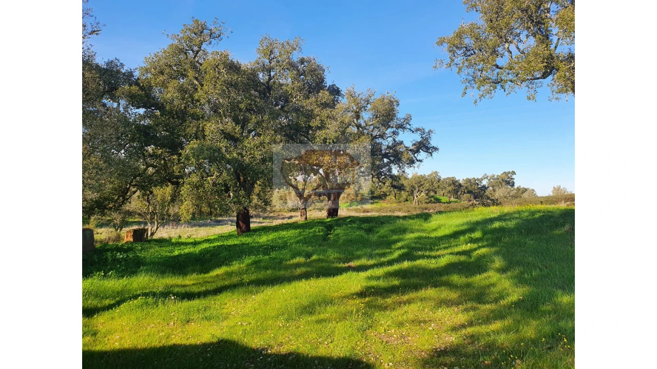 Terreno Misto para Venda em Grândola e Santa Margarida da Serra Foto 2