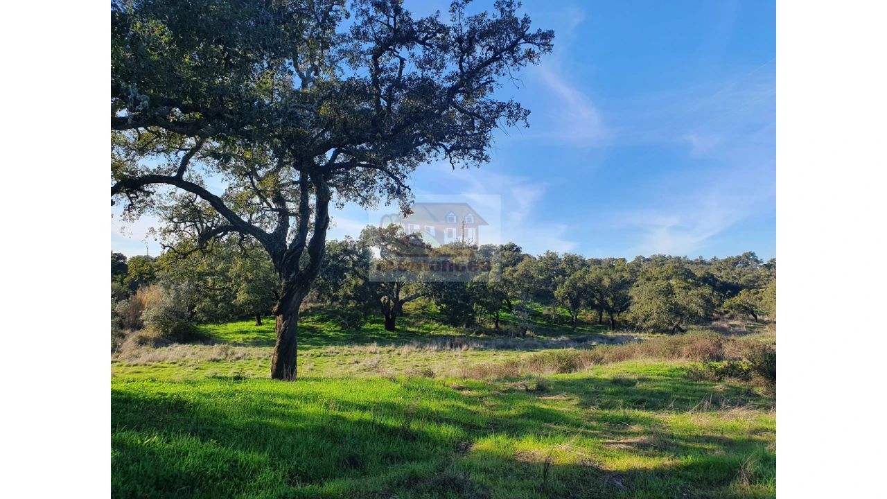 Terreno Misto para Venda em Grândola e Santa Margarida da Serra Foto 8