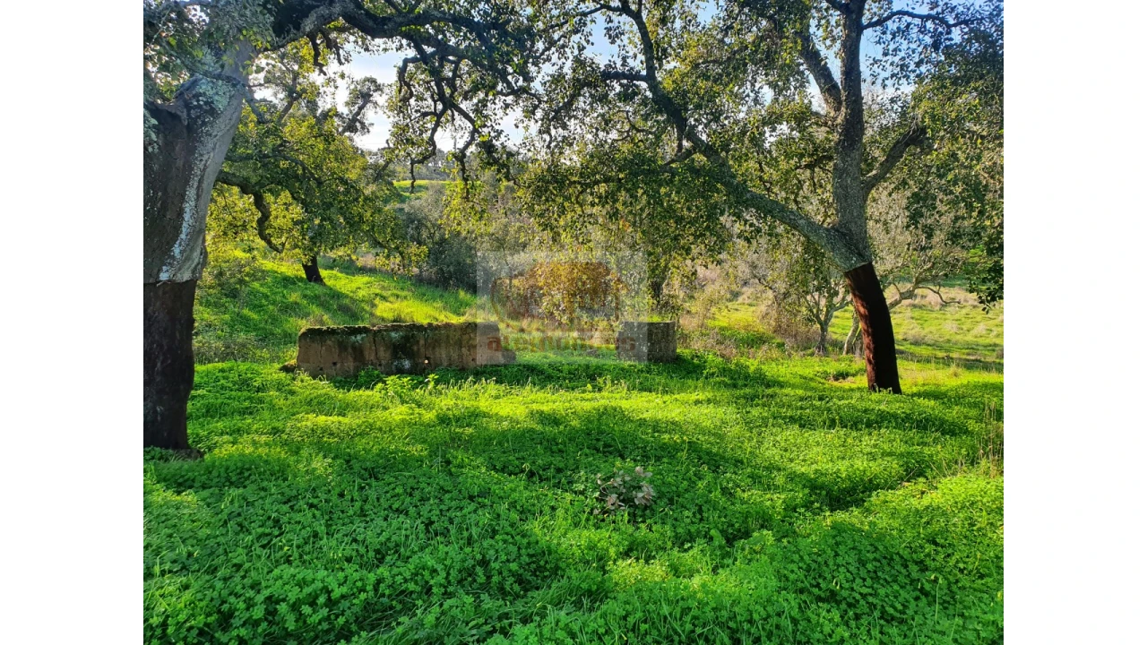 Terreno Misto para Venda em Grândola e Santa Margarida da Serra Foto 9