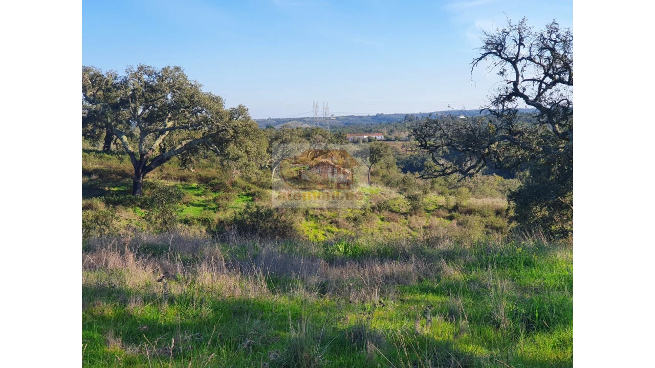 Terreno Misto para Venda em Grândola e Santa Margarida da Serra Foto 11