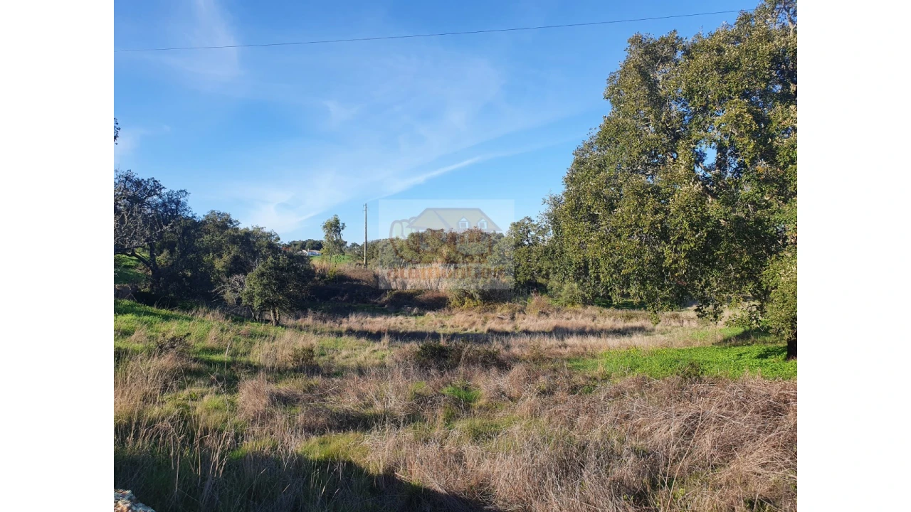 Terreno Misto para Venda em Grândola e Santa Margarida da Serra Foto 12