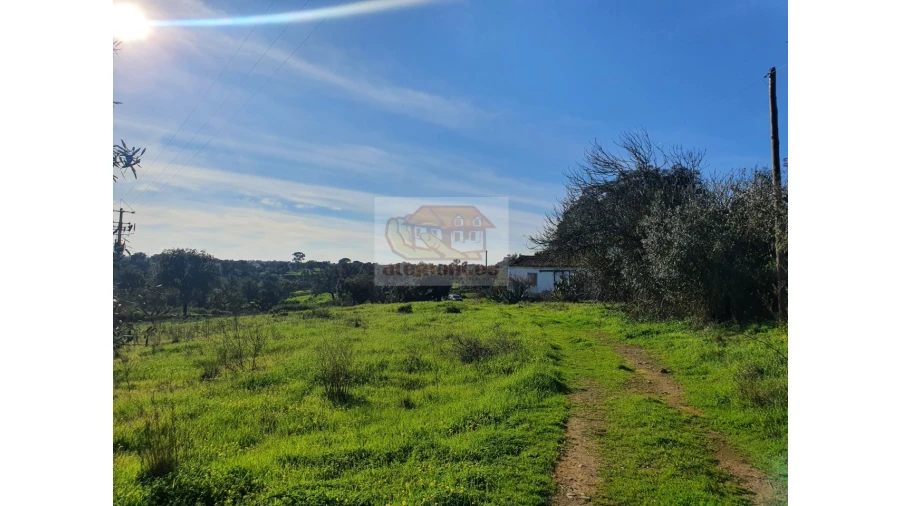 Terreno Misto para Venda em Grândola e Santa Margarida da Serra Foto 5