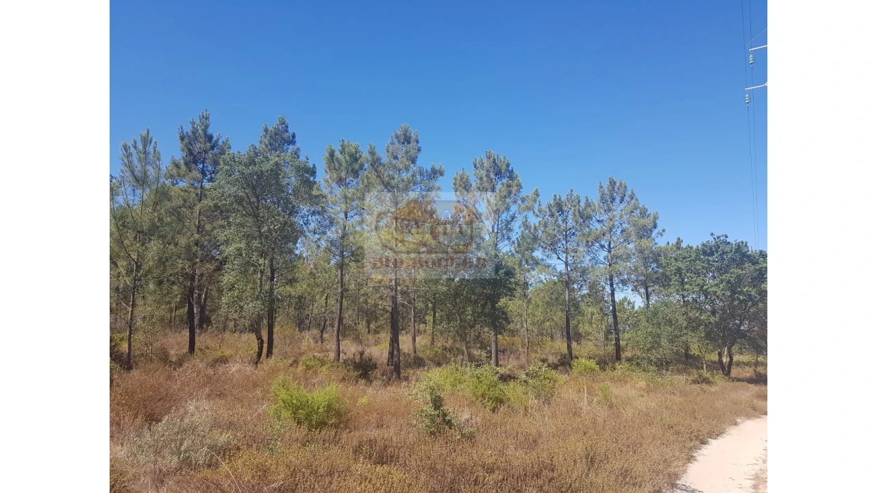 Quinta T2 para Venda em Melides Foto 4