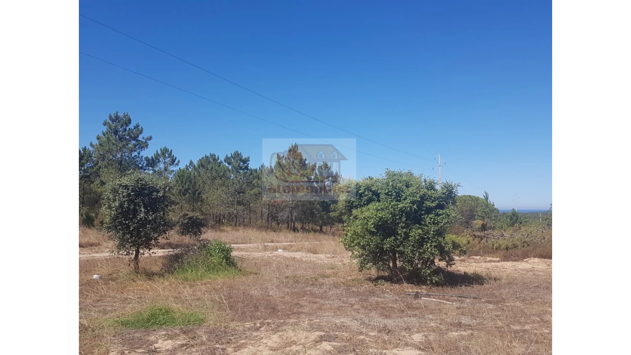 Quinta T2 para Venda em Melides Foto 7