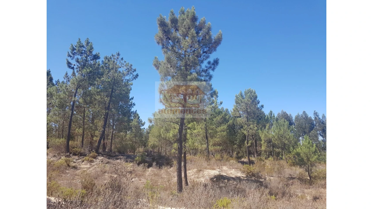 Quinta T2 para Venda em Melides Foto 8