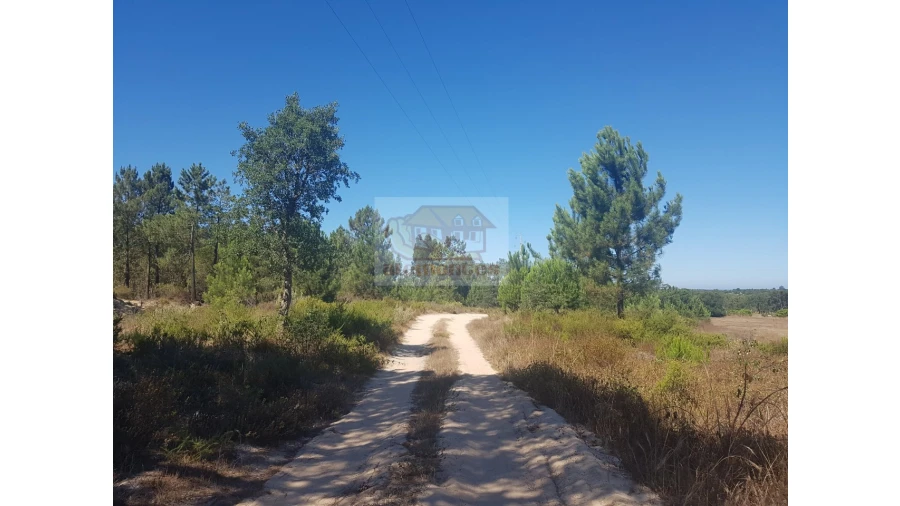 Quinta T2 para Venda em Melides Foto 3