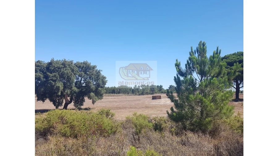 Quinta T2 para Venda em Melides Foto 1