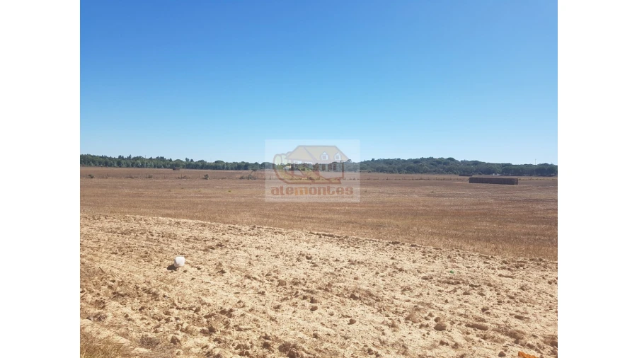 Quinta T2 para Venda em Melides Foto 5