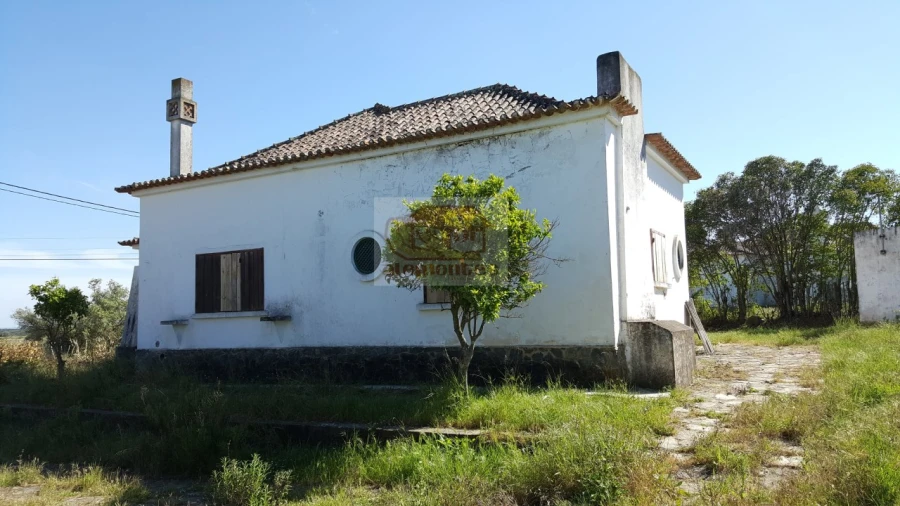 Quinta T5 para Venda em Azinheira dos Barros e São Mamede do Sádão Foto 8