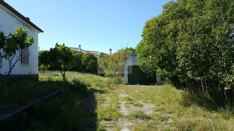 Quinta T5 para Venda em Azinheira dos Barros e São Mamede do Sádão Foto 10