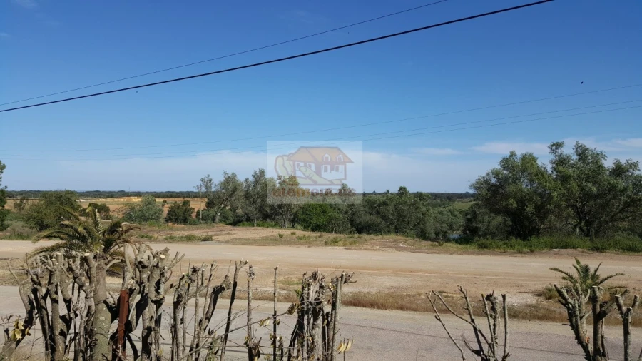 Quinta T5 para Venda em Azinheira dos Barros e São Mamede do Sádão Foto 11