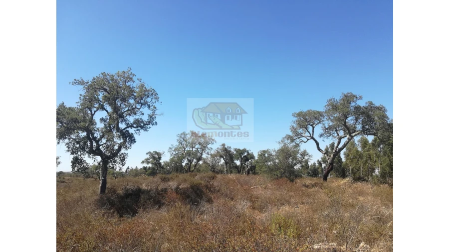 Terreno Agricola ou Rústico para Venda em Grândola e Santa Margarida da Serra Foto 7