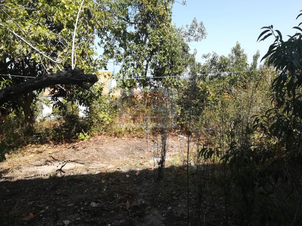 Moradia T5 para Venda em Melides Foto 3