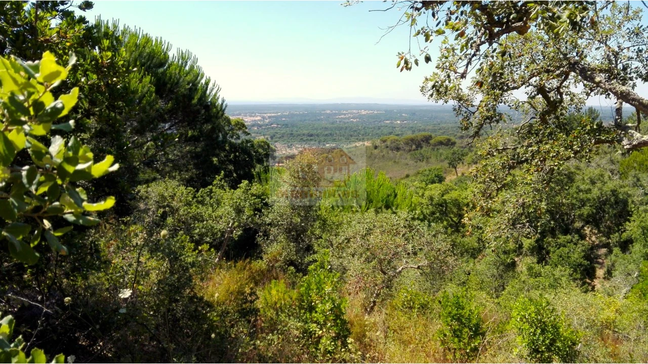 Terreno para Venda em Melides Foto 1