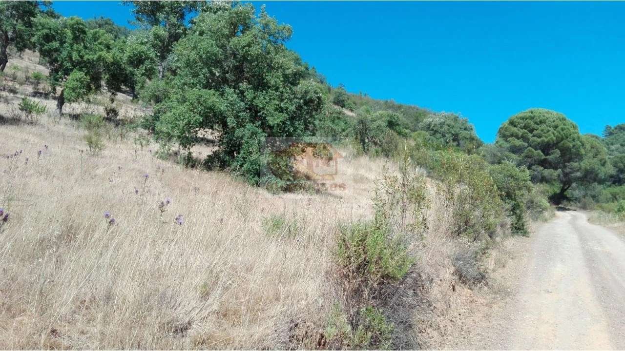 Terreno para Venda em Melides Foto 4