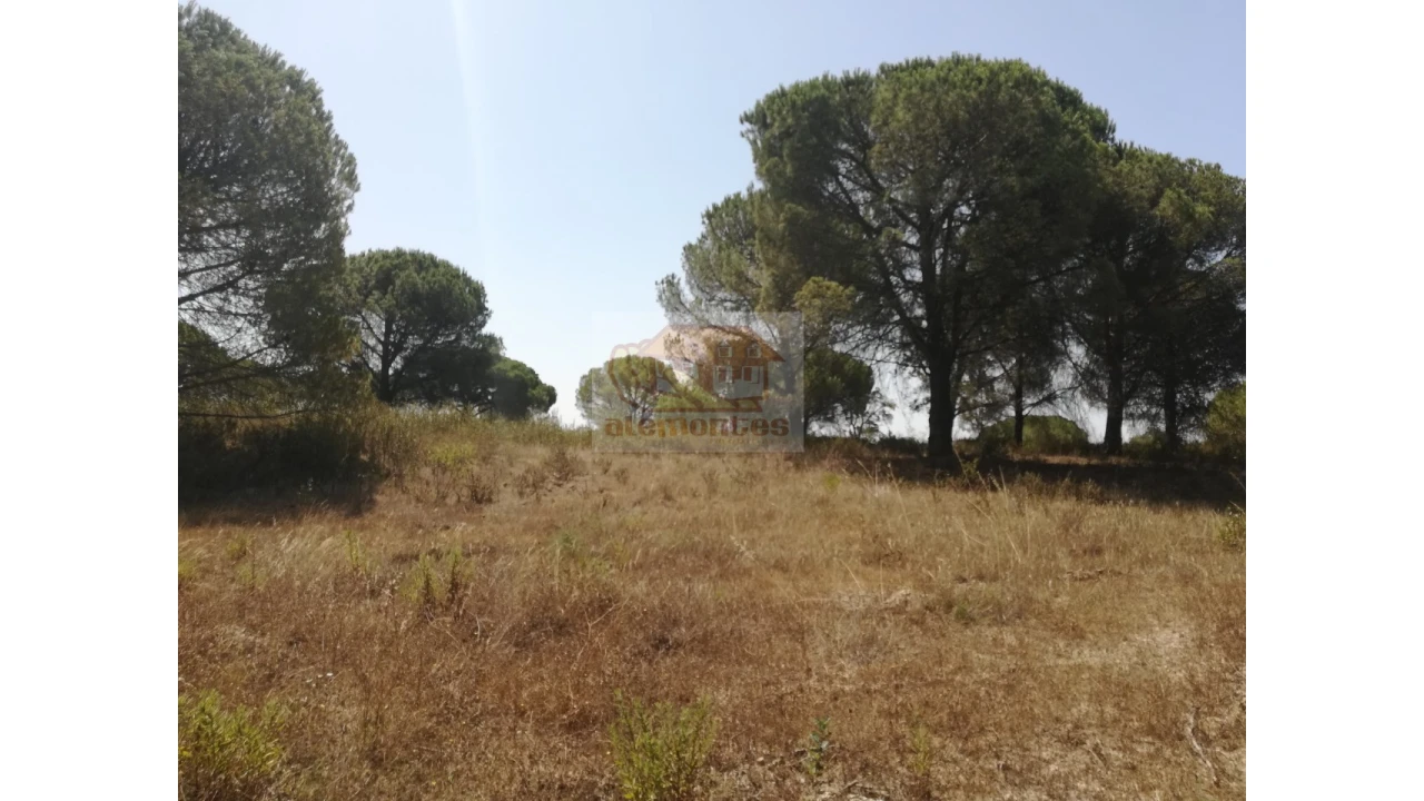Terreno Agricola ou Rústico para Venda em Melides Foto 4