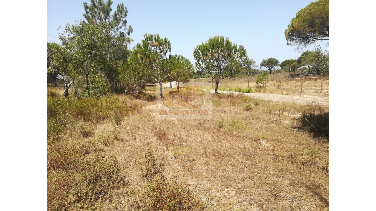 Terreno Agricola ou Rústico para Venda em Melides Foto 5