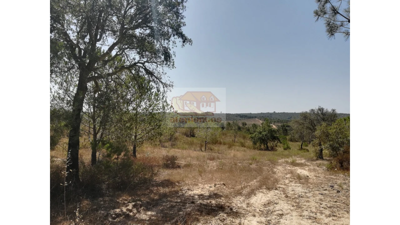 Terreno Agricola ou Rústico para Venda em Melides Foto 1