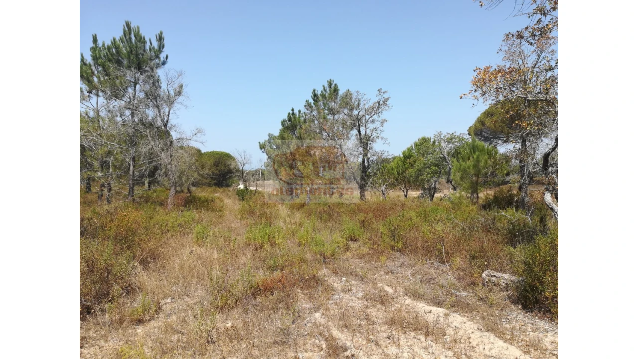 Terreno Agricola ou Rústico para Venda em Melides Foto 10