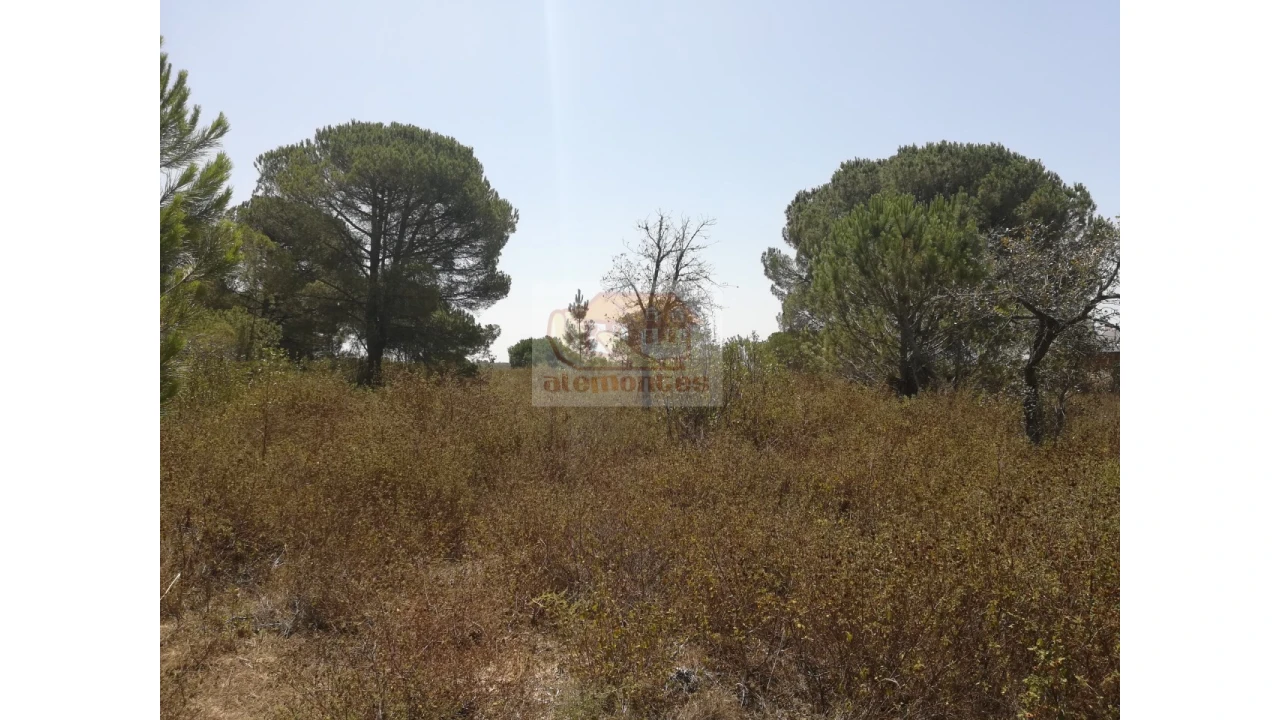 Terreno Agricola ou Rústico para Venda em Melides Foto 9