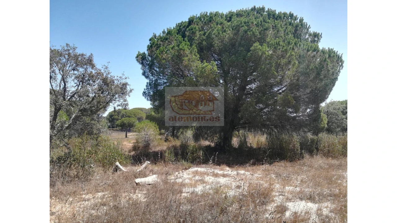 Terreno Agricola ou Rústico para Venda em Melides Foto 11