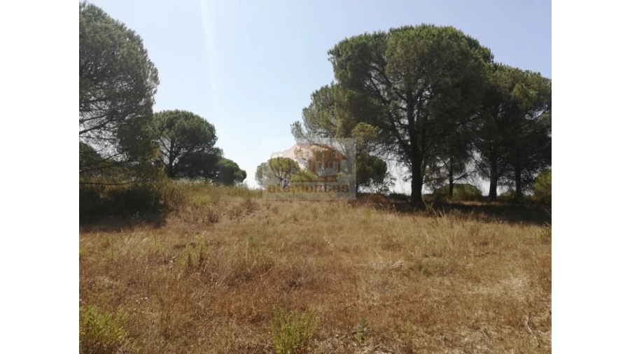 Terreno Agricola ou Rústico para Venda em Melides Foto 4