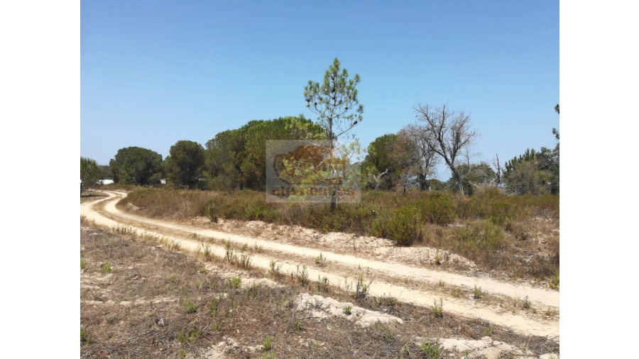 Terreno Agricola ou Rústico para Venda em Melides Foto 6