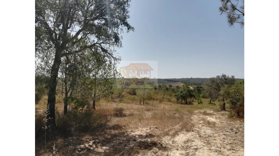 Terreno Agricola ou Rústico para Venda em Melides