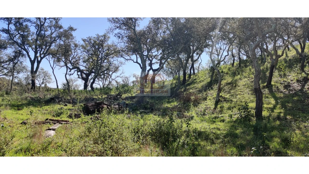 Terreno Agricola ou Rústico para Venda em São Francisco da Serra Foto 7
