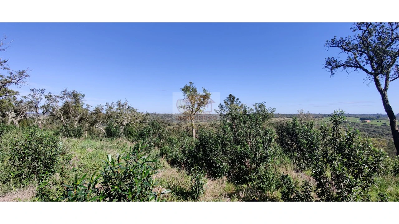 Terreno Agricola ou Rústico para Venda em São Francisco da Serra Foto 8