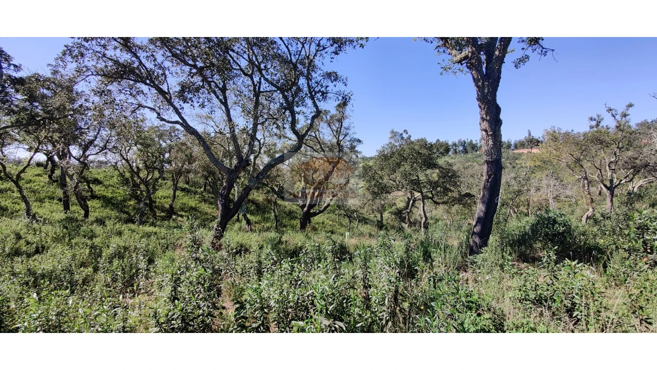 Terreno Agricola ou Rústico para Venda em São Francisco da Serra Foto 10