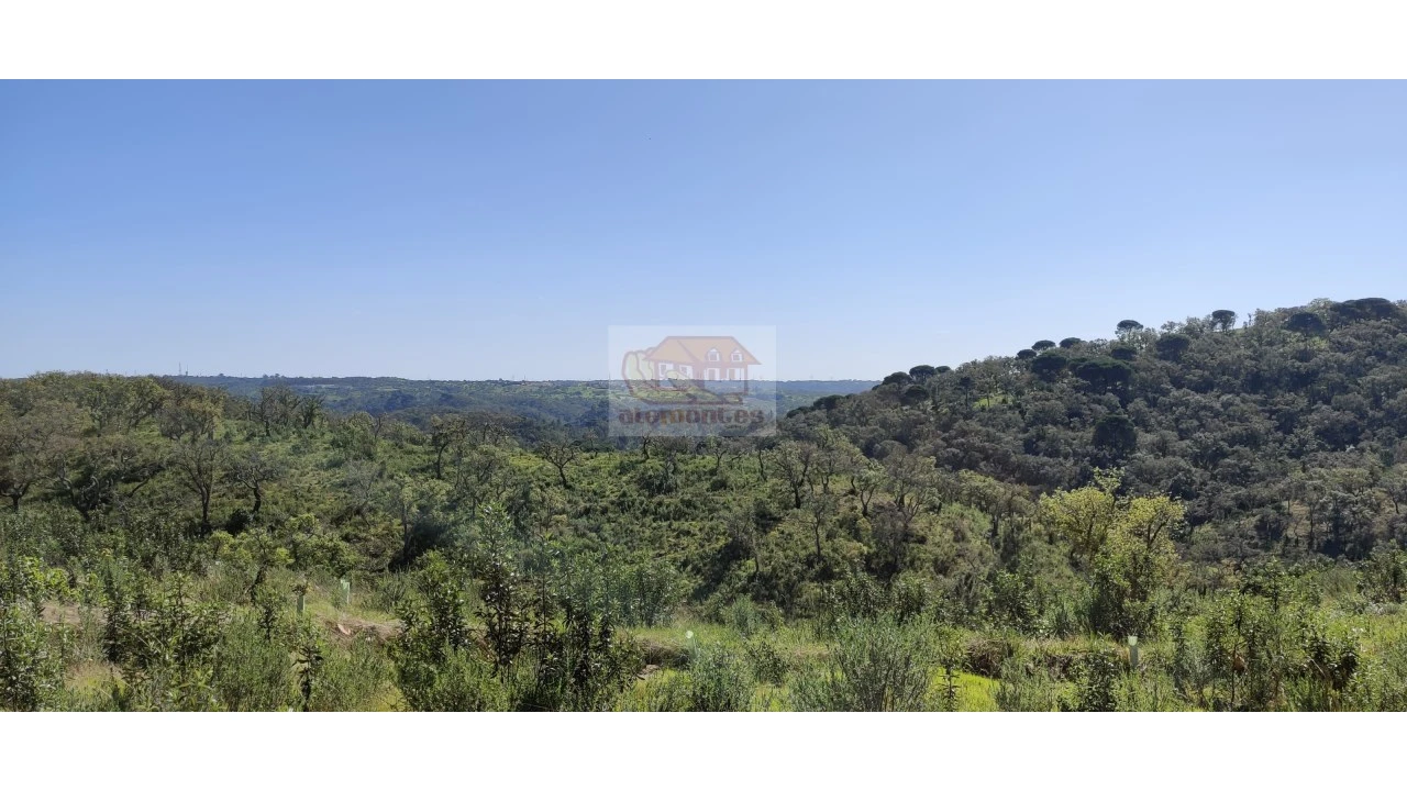 Terreno Agricola ou Rústico para Venda em São Francisco da Serra Foto 11