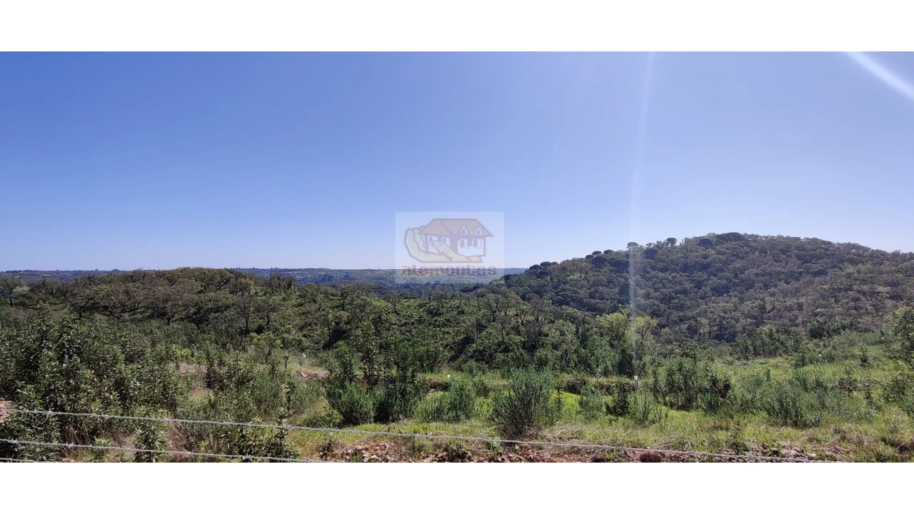 Terreno Agricola ou Rústico para Venda em São Francisco da Serra Foto 12