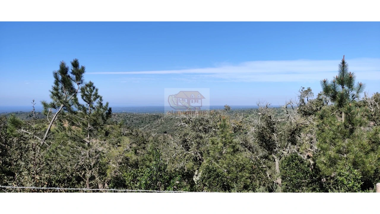 Terreno Agricola ou Rústico para Venda em São Francisco da Serra Foto 13