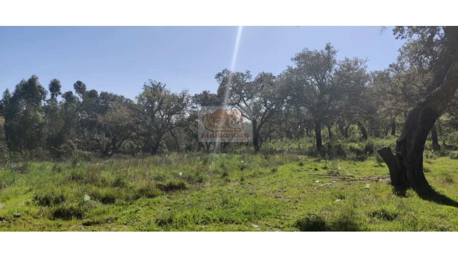 Terreno Agricola ou Rústico para Venda em São Francisco da Serra Foto 2