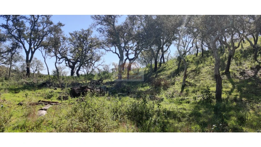 Terreno Agricola ou Rústico para Venda em São Francisco da Serra Foto 7