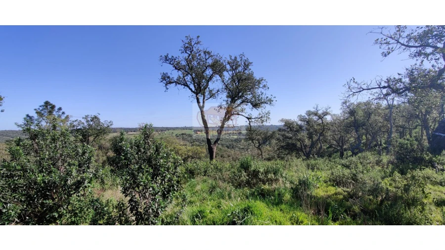 Terreno Agricola ou Rústico para Venda em São Francisco da Serra Foto 4