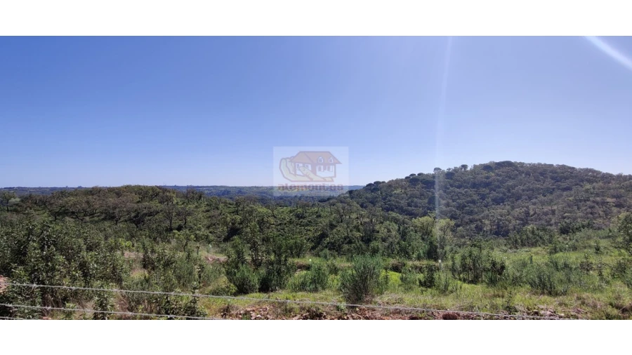 Terreno Agricola ou Rústico para Venda em São Francisco da Serra Foto 12