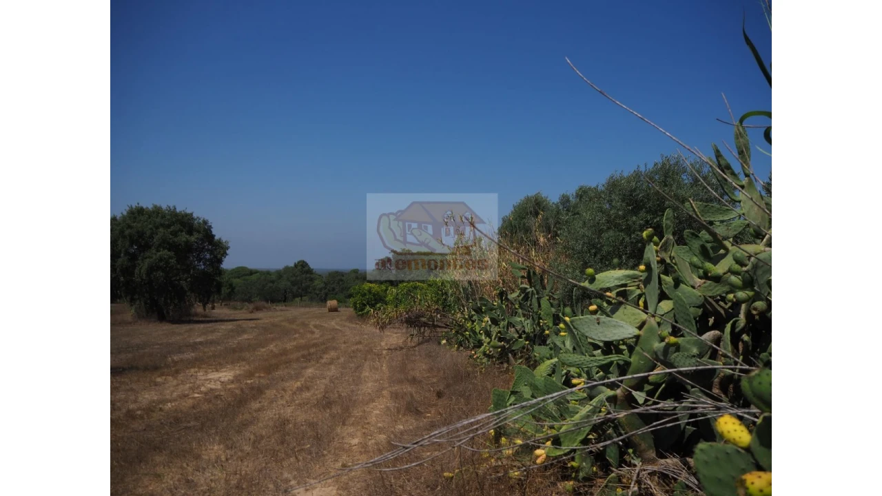 Terreno Agricola ou Rústico para Venda em Melides Foto 1