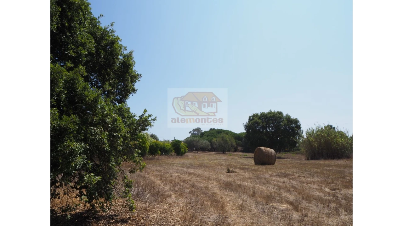 Terreno Agricola ou Rústico para Venda em Melides Foto 6