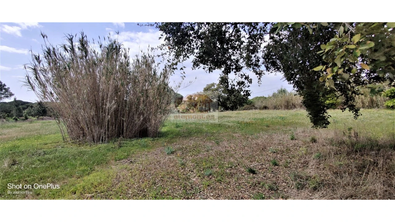 Terreno Agricola ou Rústico para Venda em Melides Foto 7