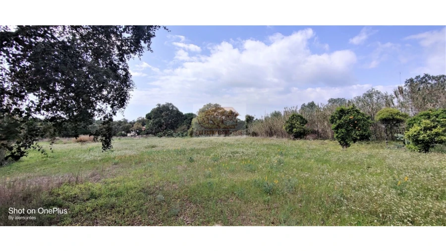 Terreno Agricola ou Rústico para Venda em Melides Foto 2
