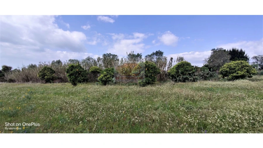 Terreno Agricola ou Rústico para Venda em Melides Foto 3