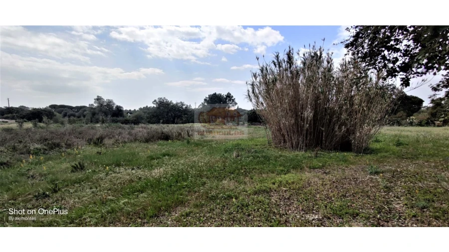 Terreno Agricola ou Rústico para Venda em Melides Foto 4