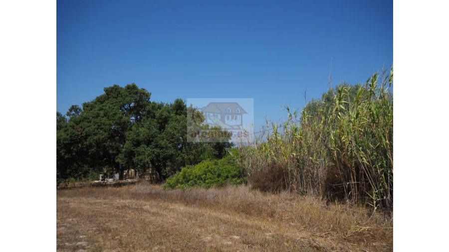 Terreno Agricola ou Rústico para Venda em Melides Foto 9