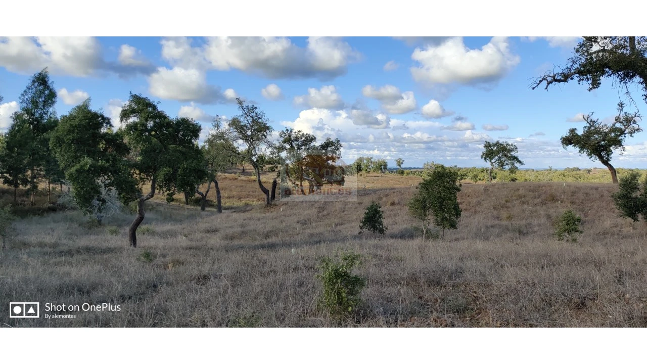 Terreno Agricola ou Rústico para Venda em Grândola e Santa Margarida da Serra Foto 4