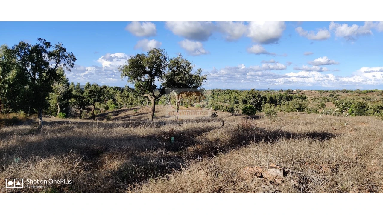 Terreno Agricola ou Rústico para Venda em Grândola e Santa Margarida da Serra Foto 5