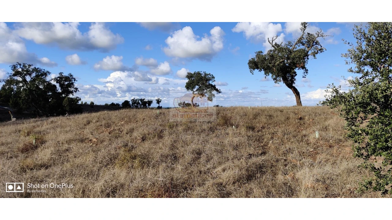 Terreno Agricola ou Rústico para Venda em Grândola e Santa Margarida da Serra Foto 2